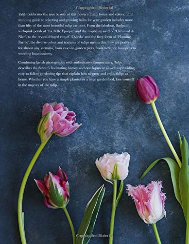 Tulips Floral Book