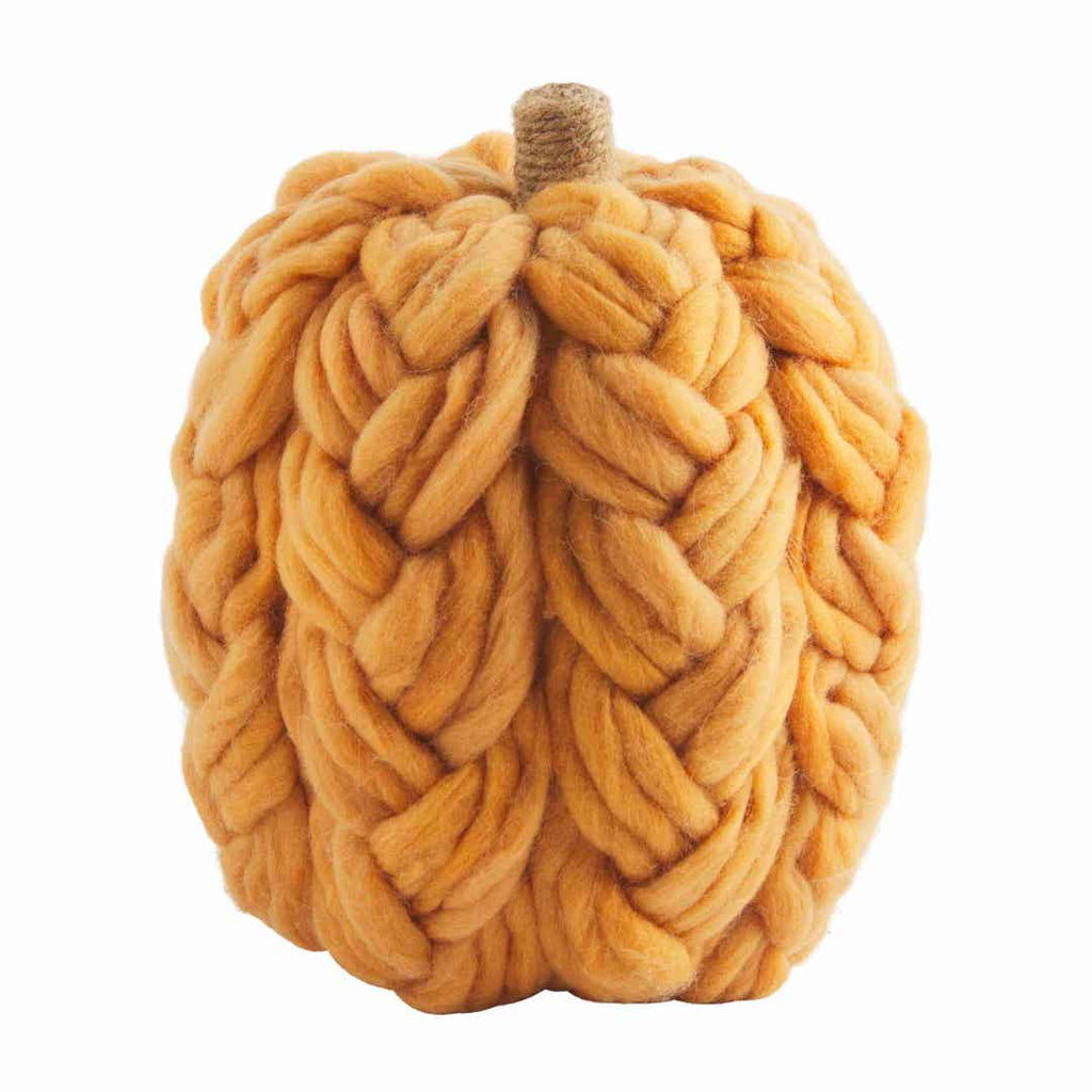 Chunky Knit Pumpkin Sitter
